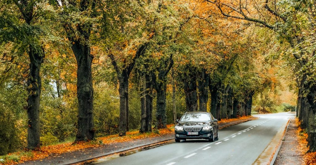 Luxury Car Rental: Experience Elegance and Performance on the Road