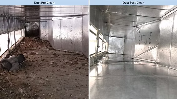Cleaning Company in Al Baha: Ensuring Hygiene and Pristine Spaces
