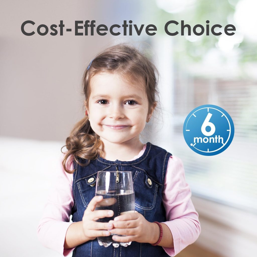 Promote Health and Sustainability in Your Kitchen with Filtered Water