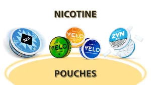 Nicotine Pouches Snus Dubai: A Modern Guide to Smoke-Free Nicotine Alternatives